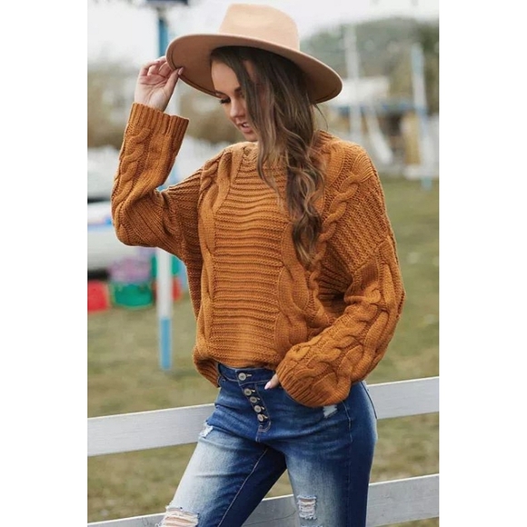 Chic Brown Cable Knit Sweater With Batwing Sleeves - Picture 4 of 5